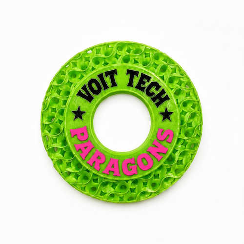 Voit Tech Paragons Profile Picture